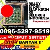 Supplier Rumput Plastik Batu Raja Timur.jpg