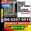 Supplier Rumput Plastik Bekasi Utara.jpg