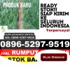 Toko Rumput Palsu Mayong.jpg