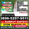 Supplier Rumput Imitasi Kabupaten Pangandaran.jpg