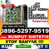 Supplier Rumput Plastik Binjai Barat.jpg