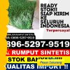 Supplier Rumput Imitasi Kabupaten Tanjung Jabung Timur.jpg