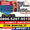 Supplier Rumput Sintetis Sungai Lala.jpg