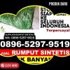 Supplier Rumput Imitasi Kajuara.jpg