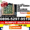 Toko Rumput Sintetis Bengkunat.jpg