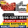 Supplier Rumput Sintetis Takabonerate.jpg