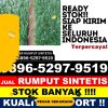 Toko Rumput Palsu Muara Sabak Timur.jpg