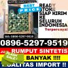 Toko Rumput Sintetis Binjai Hulu.jpg