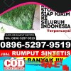 Supplier Rumput Imitasi Karangjaya.jpg