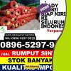 Toko Rumput Palsu Ngadirojo.jpg