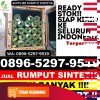 Supplier Rumput Plastik Candipuro.jpg