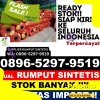 Toko Rumput Palsu Ngunut.jpg