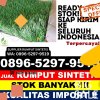 Supplier Rumput Imitasi Kebayoran Lama.jpg