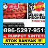 Supplier Rumput Sintetis Tanta.jpg