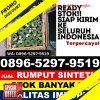 Supplier Rumput Plastik Cigedug.jpg