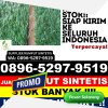 Supplier Rumput Imitasi Kemiri.jpg