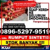 Toko Rumput Palsu Pajangan.jpg