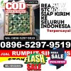 Supplier Rumput Plastik Cimanggis.jpg