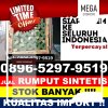 Supplier Rumput Plastik Ciranjang.jpg