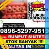 Supplier Rumput Sintetis Teweh Selatan.jpg