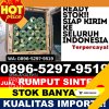 Supplier Rumput Plastik Cukuh Balak.jpg