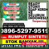 Supplier Rumput Imitasi Kota Jambi.jpg