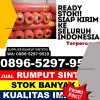 Supplier Rumput Sintetis Uluidanotae.jpg