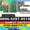 Supplier Rumput Imitasi Krembangan.jpg