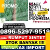 Supplier Rumput Imitasi Kutambaru.jpg