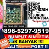 Toko Rumput Imitasi Ambalau.jpg