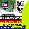 Supplier Rumput Plastik Jailolo Selatan.jpg