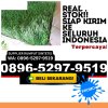 Supplier Rumput Plastik Jatikalen.jpg