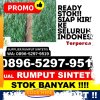 Supplier Rumput Imitasi Lubuk Linggau Selatan Ii.jpg