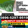 Toko Rumput Sintetis Hanau.jpg