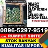 Toko Rumput Imitasi Balung.jpg