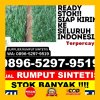 Supplier Rumput Imitasi Mangoli Selatan.jpg