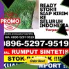 Toko Rumput Sintetis Juai.jpg