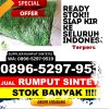 Toko Rumput Sintetis Kabupaten Bandung Barat.jpg