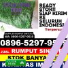 Supplier Rumput Plastik Kabupaten Simeulue.jpg