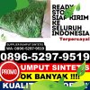 Toko Rumput Sintetis Kabupaten Jombang.jpg