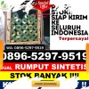 Toko Rumput Imitasi Bittuang.jpg