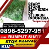 Supplier Rumput Plastik Kaliangkrik.jpg