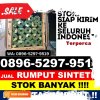 Toko Rumput Imitasi Bojongmangu.jpg