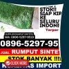 Toko Rumput Sintetis Kabupaten Sinjai.jpg