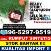 Supplier Rumput Plastik Karangpandan.jpg