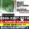 Toko Rumput Sintetis Kabupaten Toraja Utara.jpg