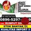 Supplier Rumput Plastik Katibung.jpg