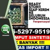 Toko Rumput Imitasi Busang.jpg