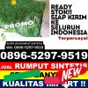 Supplier Rumput Plastik Kelay.jpg