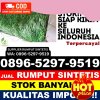 Toko Rumput Sintetis Kapuas Tengah.jpg